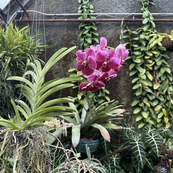 Lincoln Park Conservatory - Parks Near Me - Chicago, Illinois