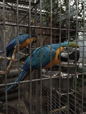 Palmiarnia Poznańska by null