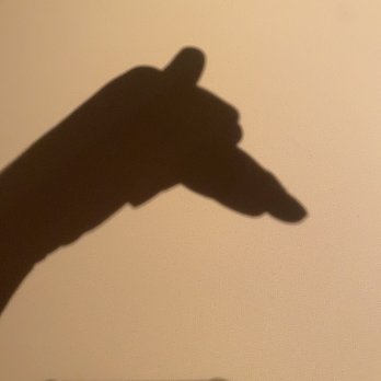Addison - Such perfect lighting for shadow puppets (lol) - New American Near Me - San Diego, California