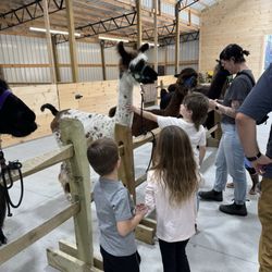 Ellaberry Llama Farm