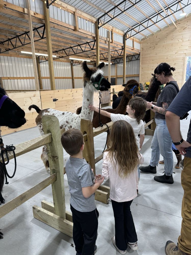 Ellaberry Llama Farm Logo