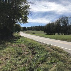Amonett's Eagle Auction & Realty