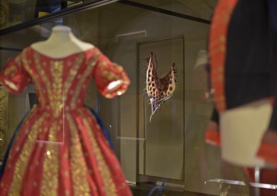 Museo Del Tessuto by null