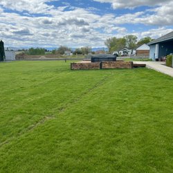 Back yard lawn where new sod was laid