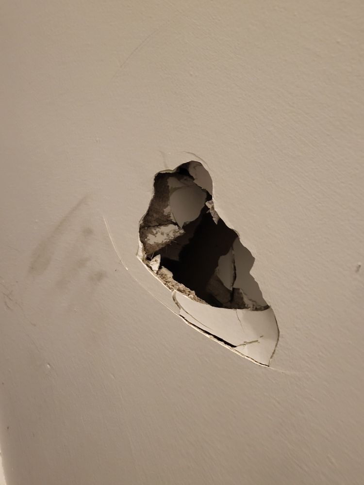 Slide of Everyday Handyman