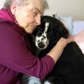 Leftpaw Pet Sitting Services - My 91 year mom with my service dog Breckin!! - Pet Sitting Near Me