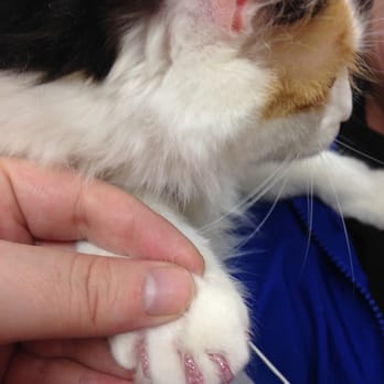 PetSmart - Pet Groomers Near Me - Spokane, Washington