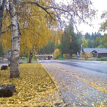 West Glacier Restaurant and Bar - fall leaves on the street - American Near Me - West Glacier, Montana West Glacier Restaurant and Bar - fall leaves on the street - American Near Me - West Glacier, Montana