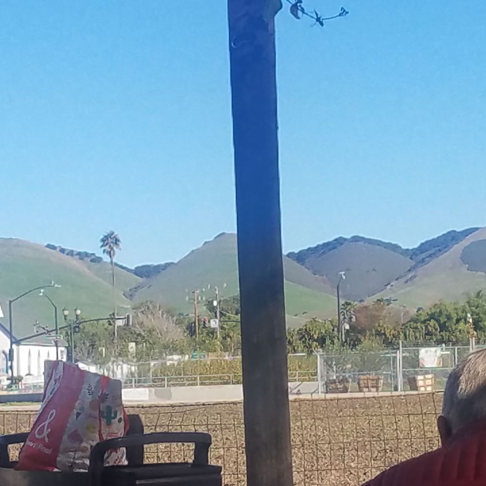 The Mayors Place - View from the patio in January - Breakfast & Brunch Near Me - Nipomo, California