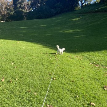 green belt park - Parks Near Me - Calabasas, California green belt park - Parks Near Me - Calabasas, California