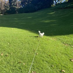 green belt park