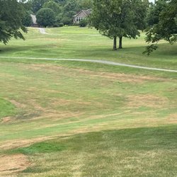 Boone's Trace National Golf Club - Fungus Damage