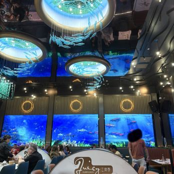 Juicy Dumplings - Interior - Chinese Near Me - Euless, Texas