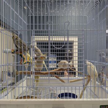 Zookeeper - Pet Stores Near Me - Austin, Texas