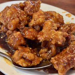 Chinese Delicacy - General Tso's Chicken