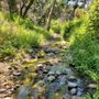 Santa Ynez Falls - Topanga State Park