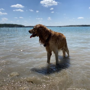 Canyon Park - Helios enjoying the cool water - Beaches Near Me - Canyon Lake, Texas Canyon Park - Helios enjoying the cool water - Beaches Near Me - Canyon Lake, Texas