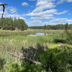 Turnbull National Wildlife Refuge