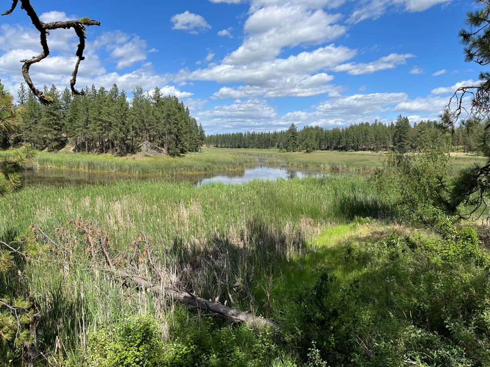 Turnbull National Wildlife Refuge Logo