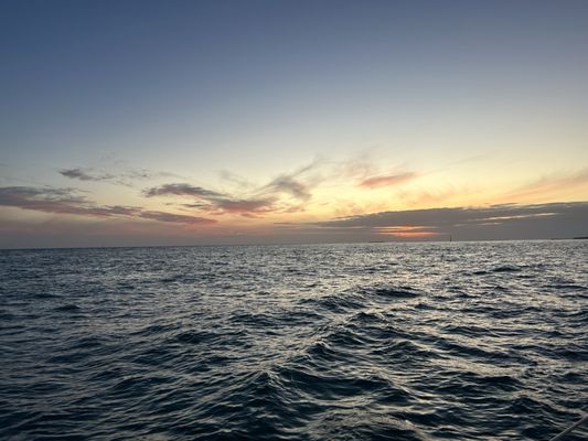 Danger Charters by null