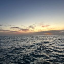 Danger Charters - View from the boat
