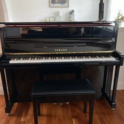 The Piano Store