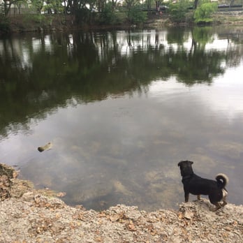Perrine Wayside Park - Little cute doggy looking at the turtles and fish :3 - Dog Parks Near Me - Miami, Florida Perrine Wayside Park - Little cute doggy looking at the turtles and fish :3 - Dog Parks Near Me - Miami, Florida
