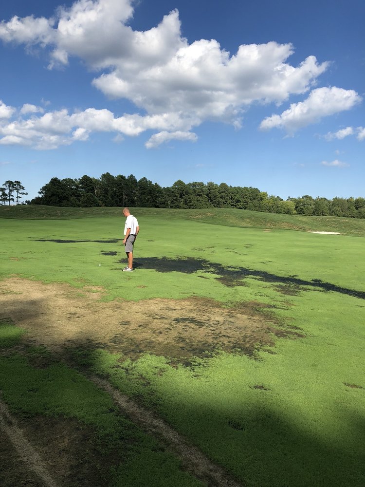 LIGHTHOUSE SOUND 10 Photos & 10 Reviews 12723 Saint Martins Nck Rd