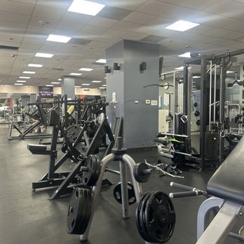 Wilfit - Gym - Gyms Near Me - Los Angeles, California Wilfit - Gym - Gyms Near Me - Los Angeles, California