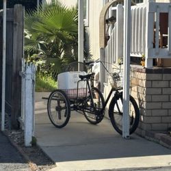 Costa Mesa Police Department - Cat hoarder