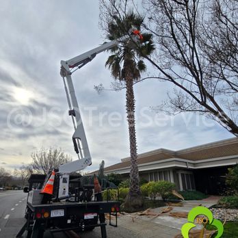 JSO Tree Service - Landscaping Near Me