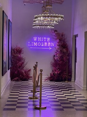 WHITE LIMOZEEN - 876 Photos & 373 Reviews - 101 20th Ave N, Nashville