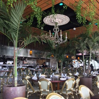Zona De Cuba - Tropical decor - Cuban Near Me - Bronx, New York Zona De Cuba - Tropical decor - Cuban Near Me - Bronx, New York