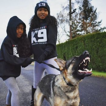 Timeless K9 Boarding And Training - Love my little helpers! - Pet Training Near Me - Tacoma, Washington Timeless K9 Boarding And Training - Love my little helpers! - Pet Training Near Me - Tacoma, Washington