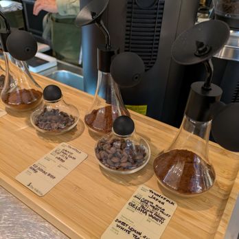 The Wild Fox - Stopping by to smell the coffee beans. - Coffee & Tea Near Me - San Francisco, California The Wild Fox - Stopping by to smell the coffee beans. - Coffee & Tea Near Me - San Francisco, California