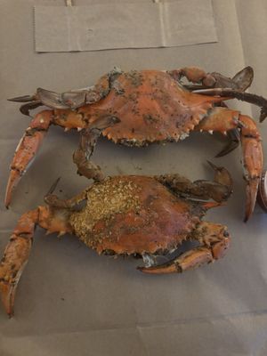 Ernie's Crab House by null