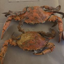 Ernie's Crab House