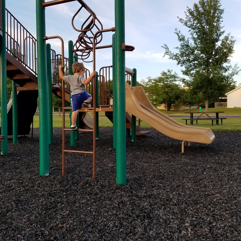 Dominion Park - Monkey bars - Parks Near Me - Madison, Wisconsin Dominion Park - Monkey bars - Parks Near Me - Madison, Wisconsin