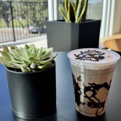 Success Coffee - Mocha