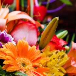 Keekees Flowers & Gifts