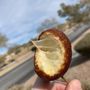 Photo of The Corndog - Mesquite