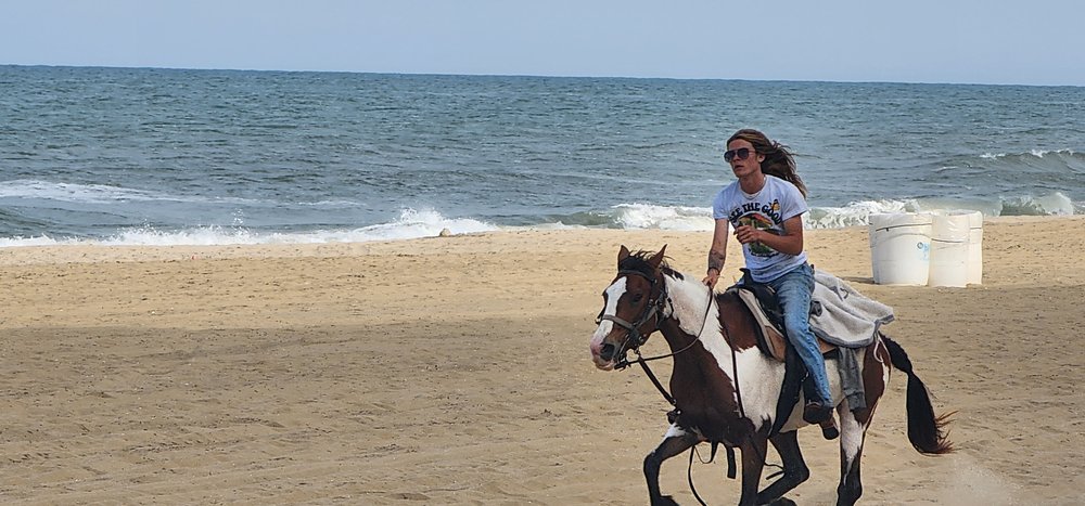 Virginia Beach Horseback - equestrian in Virginia Beach, VA