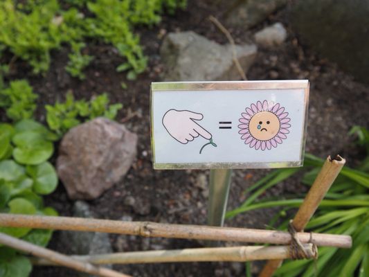 Tropical Greenhouse by null