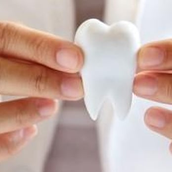 Anne Adams, DDS - Holding Tooth, Family Dentist in Hershey, PA - General Dentistry Near Me - Hershey, Pennsylvania Anne Adams, DDS - Holding Tooth, Family Dentist in Hershey, PA - General Dentistry Near Me - Hershey, Pennsylvania