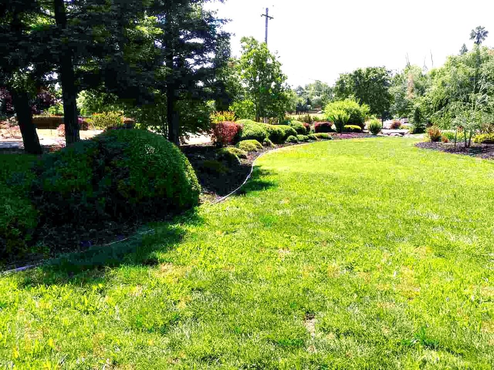 GOMEZ LANDSCAPE MAINTENANCE Updated May 2024 Sacramento, California Landscaping Phone