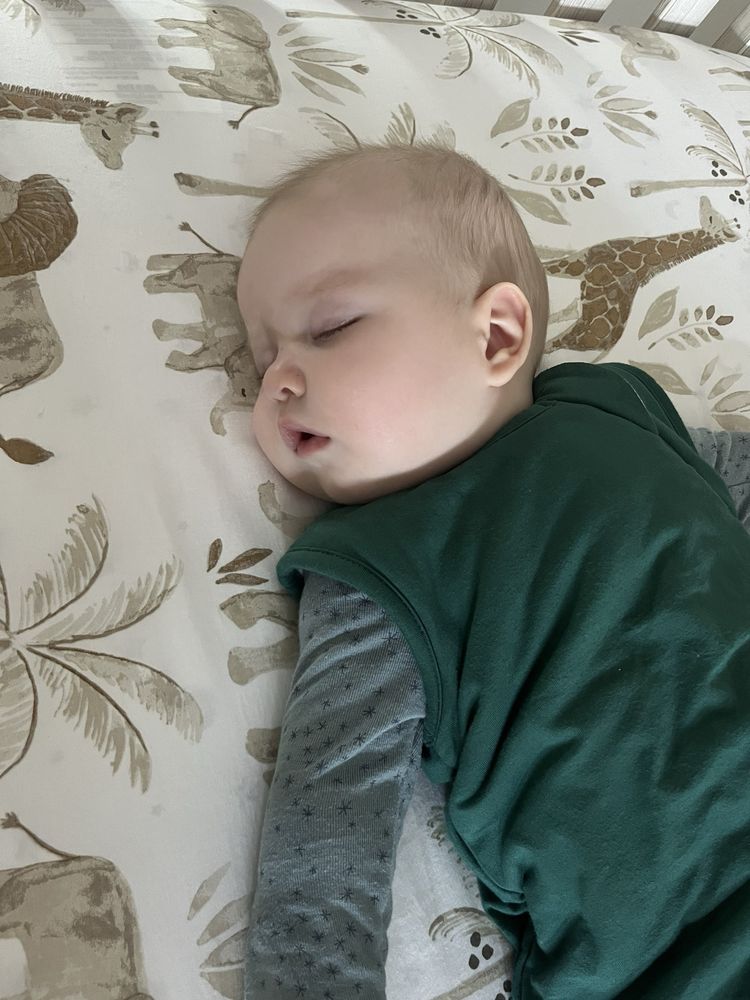 Hush Little Baby - sleep specialist in Torrance, CA