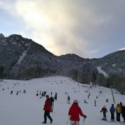 Brauneck