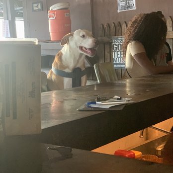 Lee Harvey's - Dog friendly, outdoor bar - American Near Me - Dallas, Texas