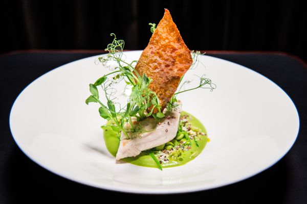 Shiki Japanese Fine Dining | Brasserie | Bar by null