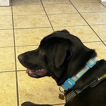 ANN ROAD ANIMAL HOSPITAL - 296 Photos & 720 Reviews - 3110 W Ann Rd